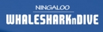 Ningaloo Whales and Shark Dive