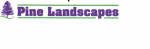 Pine Landscapes