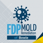 FDP Mold Remediation of Bowie