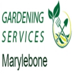 Gardening Services Marylebone