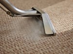 Maywood Carpet Cleaning