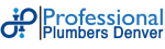 Professional Plumbers Denver