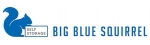 Big Blue Squirrel