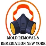 Mold Removal &amp; Remediation New York - Bronx