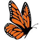 Monarca Construction and Remodeling