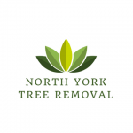 Tree Removal North York