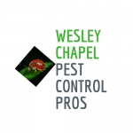 Wesley Chapel Pest Control Pros