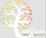 All Season Tree Services