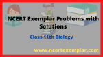 Ncert