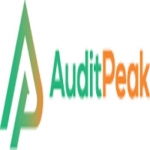 Audit Peak