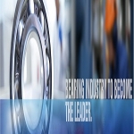 Wholesale INA Bearing from noksbearings.com