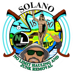 No limit hauling and junk removal