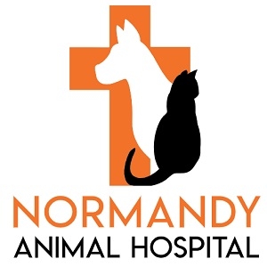 Normandy Animal Hospital