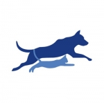 North Point Animal hospital