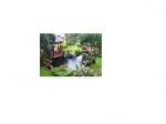 OC Pond &amp; Fountain Care