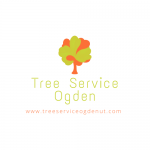Tree Service Ogden