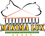 Pansion za pse MAXIMA LUX Beograd
