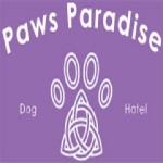 Paws Paradise