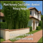 Pelton Bamboo Nursery