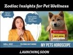 My Pet's Horoscope