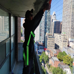 Pigeon control toronto