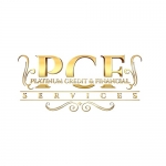 Platinum Credit &amp; Financial Service LLC.