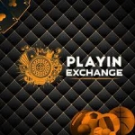 PlayInExch