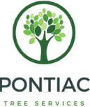 Pontiac Tree Service
