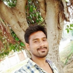 Backlinks Online Services