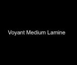 Professeur Lamine Voyant Africain