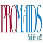 Pro Maids