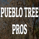 Pueblo Tree Pros