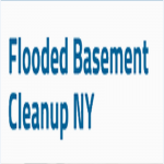 Queens Flooded Basement Clean Up