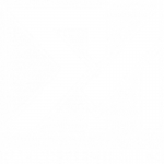 RM Racing Electronics