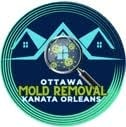 Ottawa Mold Removal-Orleans-Kanata