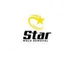 Austin Star Mold Removal