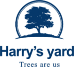 Harry Yards
