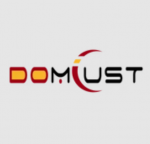 Domlust Black Dildo