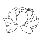 Ritual Massage and Bodywork