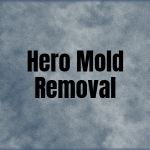 Hero Mold Removal - VA Beach
