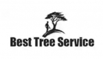 Best Tree Service