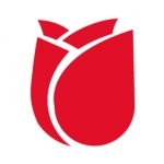 Roses and Flowers Florida