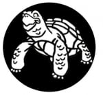 Russian Tortoise Care Center