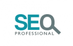 SEO Professional