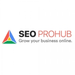SEO PROHUB