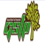 Roseville Tree Service Experts