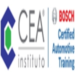 INSTITUTO CEA