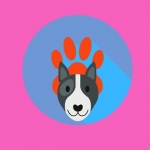 North Miami Mobile Pet Grooming