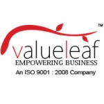Bulk Email Marketing Company | Valueleaf Services
