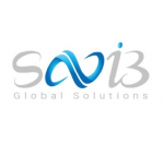Savi3 HR Global Solutions (OPC) pvt Ltd